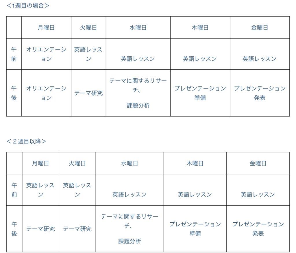 スケジュール