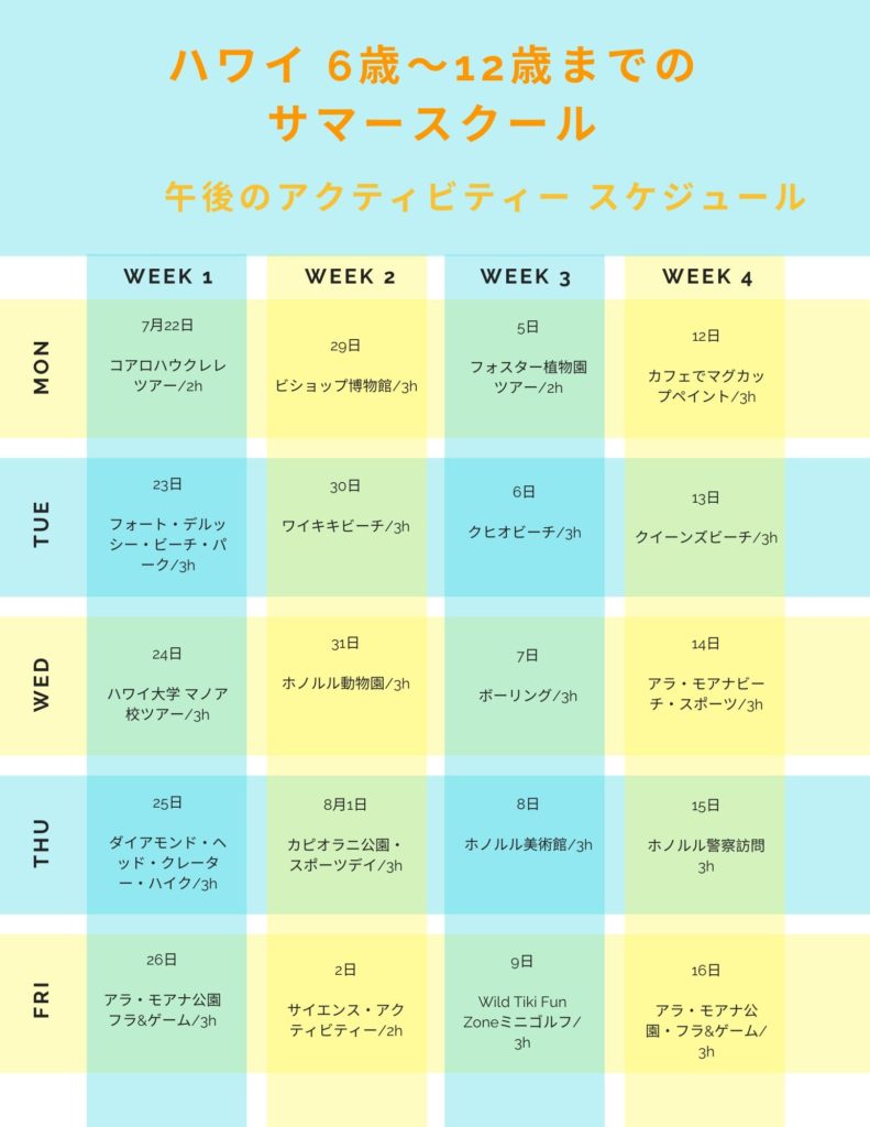アクティビティースケジュール