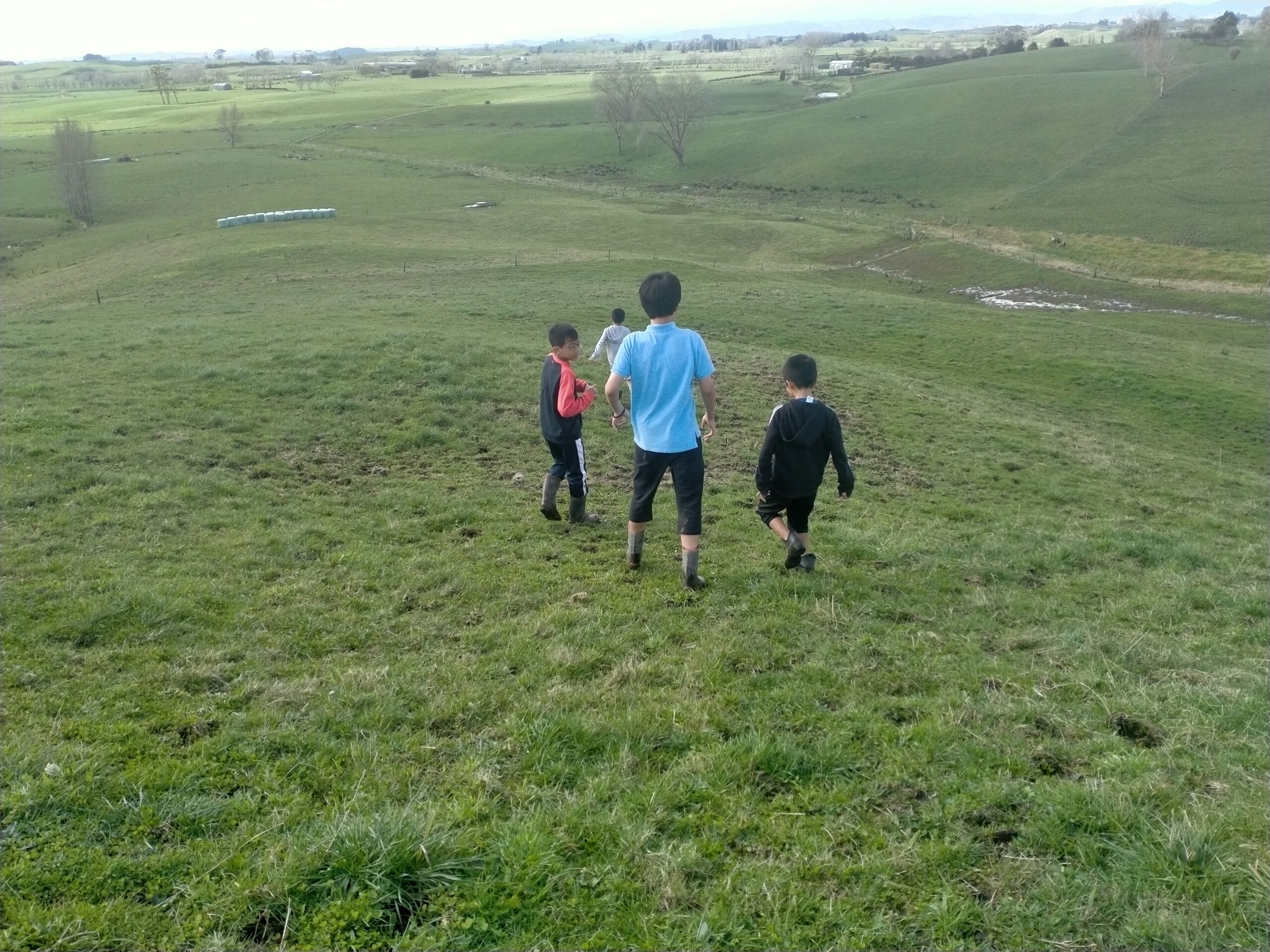 ファームステイ