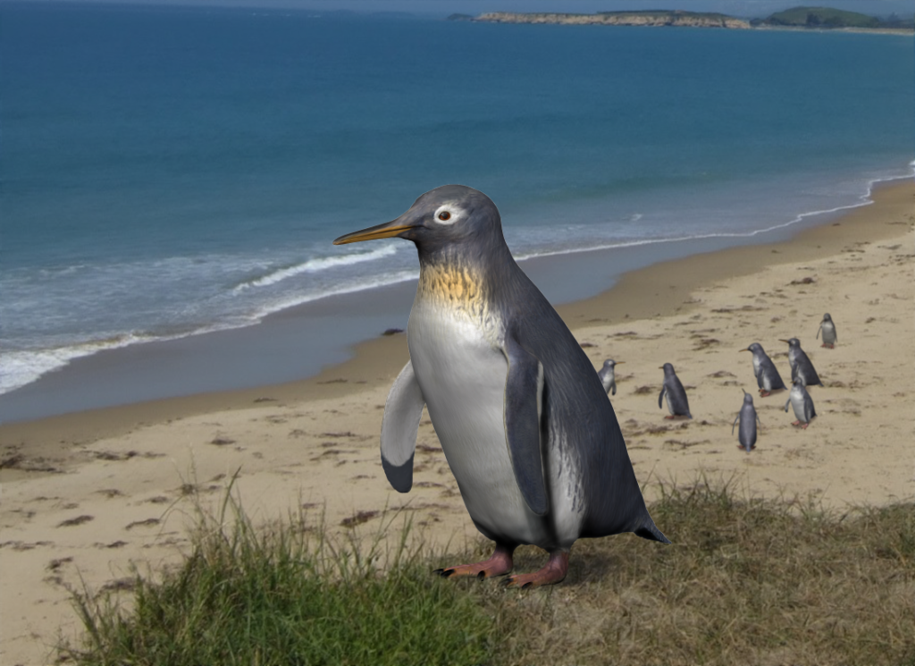 ペンギン