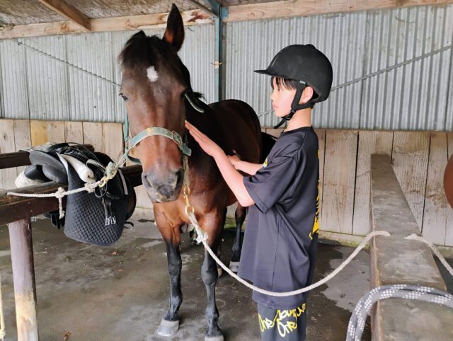 ファームステイ