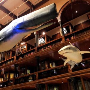 ビショップ博物館