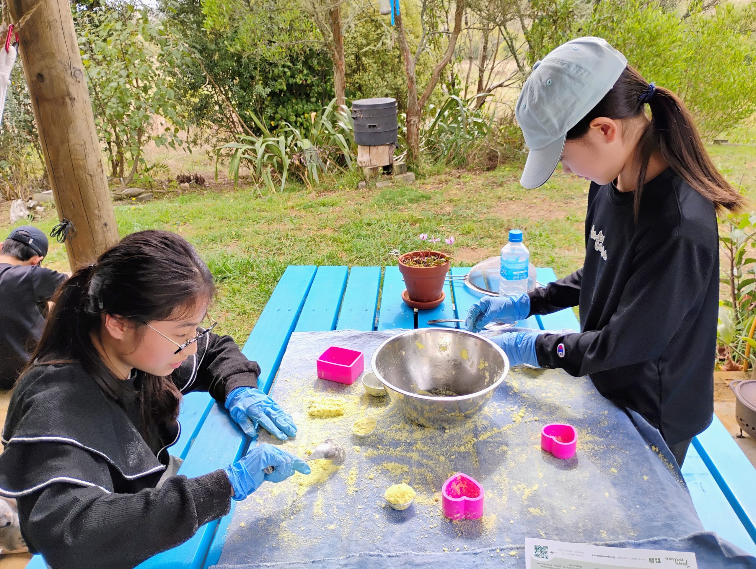 ファームステイ