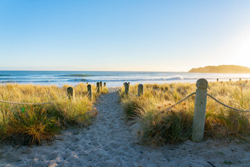 NZ