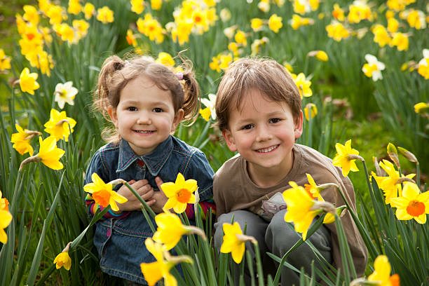 Daffodil Day