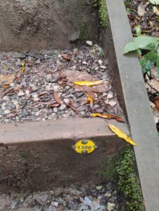 2026年ファームステイ第2期