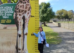 2026年ファームステイ第2期