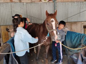 2026年ファームステイ第2期