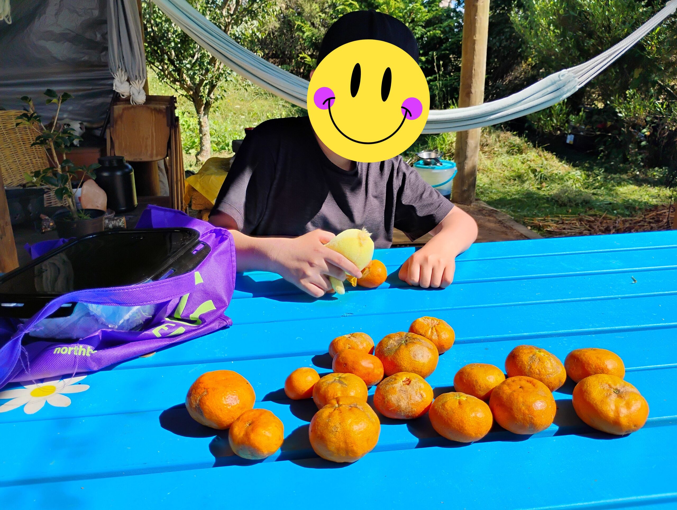 2026年春休み第1期ファームステイ