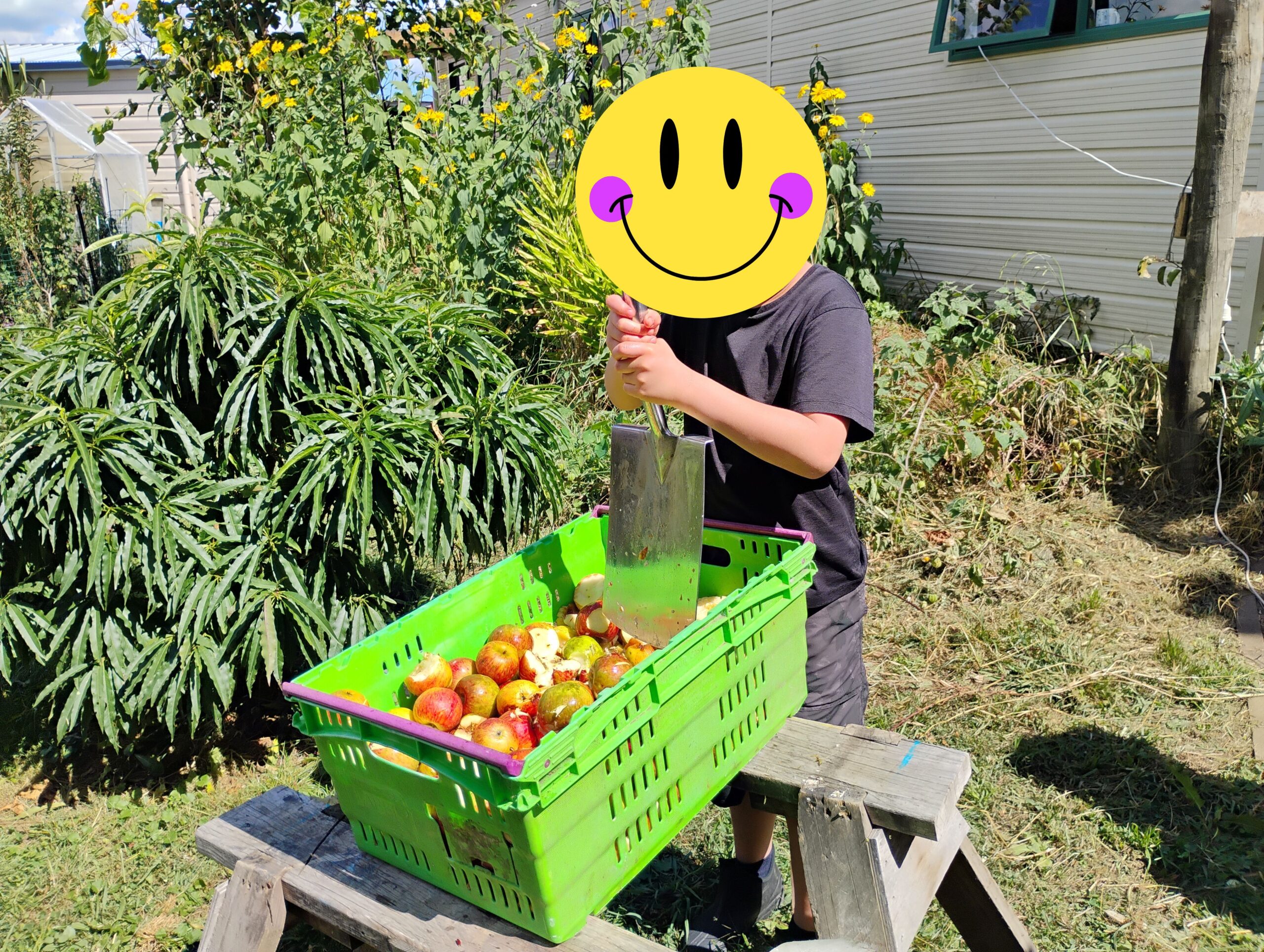 2026年春休み第1期ファームステイ