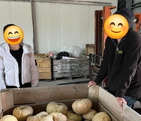 高校留学、果樹園